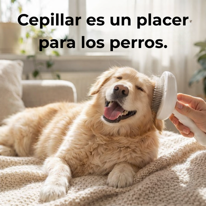 La forma más fácil de mantener tu casa limpia y a tu mascota feliz