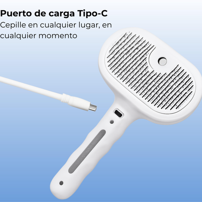 La forma más fácil de mantener tu casa limpia y a tu mascota feliz